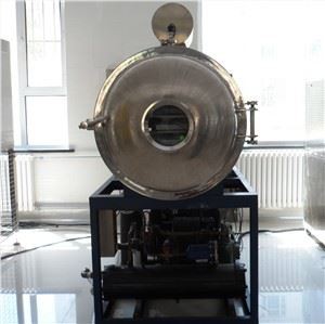 Soodne külmkuivati ​​kanaliha jaoks