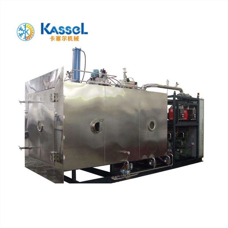 Mustika lüofilisaator