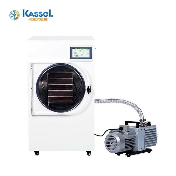 Kodune lüofilisaator